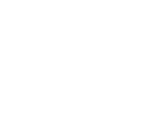 Portfolio_BP-Logo