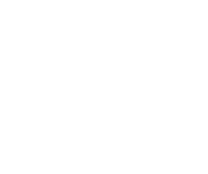 Portfolio_LYLS-Logo