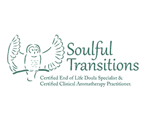 Portfolio_ST-Logo.png