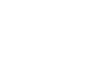 Vault42